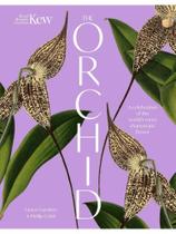 The orchid The orchid