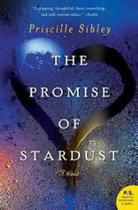 The Promise of Stardust