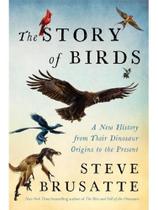The story of birds - export edition