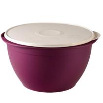 Tigela Actualite de 10L Vinho Tigela Actualite de 10L Vinho