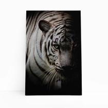 Tigre Branco Foto Animal Decorativo Quadro Canvas 60x40cm Tigre Branco Foto Animal Decorativo Quadro Canvas 60x40cm