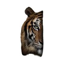 Tigre E Leão Citação Motivacional Lona Arte De Parede Inspiradora Impressão Animal Para Sala De