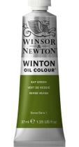 Tinta A Óleo Para Tela Winton 37ml 599 S1 Sap Green