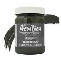 Tinta Acrilica 250ml G1 079-terra Verde