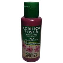 Tinta Acrílica Ameixa Fosca Acrilex Artesanato 60 Ml Tinta Acrílica Ameixa Fosca Acrilex Artesanato 60 Ml