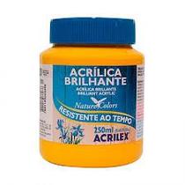 Tinta acrilica brilhante 250ml 505 amarelo ouro - 033250505