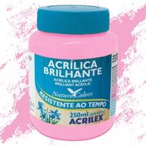 Tinta Acrílica Brilhante 250ml Acrilex - 03325