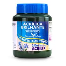 Tinta Acrilica Brilhante 250ml Acrilex ref.03325