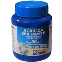 Tinta Acrilica Brilhante 250ml Azul Turquesa 501 Acrilex