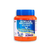 Tinta Acrílica Brilhante 250ml Laranja 517 Acrilex