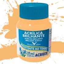Tinta Acrílica Brilhante 37ml Acrilex - 03340