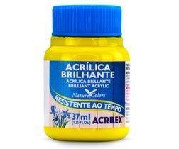 Tinta Acrilica Brilhante 37ml Acrilex 504 Amarelo Limão