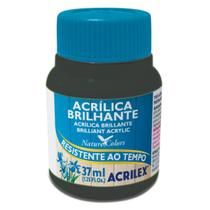 Tinta Acrilica Brilhante 37ml Acrilex 545 Verde Oliva