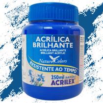 Tinta Acrílica Brilhante Acrilex 250 ml - 03325