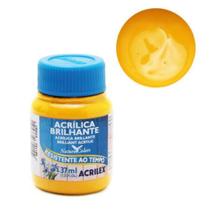 Tinta Acrilica Brilhante Acrilex 37ml 505 Amarelo Ouro Tinta Acrilica Brilhante Acrilex 37ml 505 Amarelo Ouro