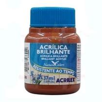 Tinta Acrílica Brilhante Acrilex Cerâmica 37ML