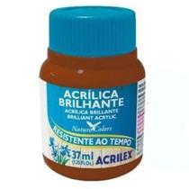 Tinta Acrílica Brilhante Acrilex Marrom 37ML