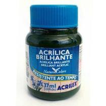 Tinta Acrílica Brilhante Acrilex Verde Oliva 37ML
