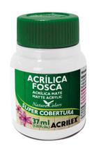 Tinta Acrílica Fosca 37ml Com 12 - Acrilex