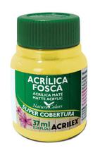 Tinta Acrílica Fosca 37ml Com 12 - Acrilex