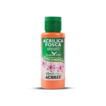 Tinta Acrilica Fosca 60ml Acrilex 03560 (com cores exclusivas)