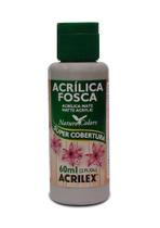 Tinta Acrilica Fosca 933 60ml Cinza Acrilex Tinta Acrilica Fosca 933 60ml Cinza Acrilex
