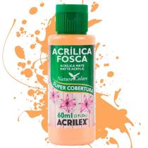 Tinta Acrílica Fosca Nature Colors 60ml - Acrilex 525-camurca Tinta Acrílica Fosca Nature Colors 60ml - Acrilex 525-camurca