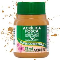 Tinta Acrílica Fosca Nature Colors Acrilex Cores Quentes 37ml - 03540