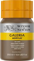 Tinta Acrilica Galeria 250ml 554 Raw Umber W&n