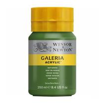 Tinta Acrílica Galeria Winsor & Newton 250 ml 599 Sap Green