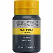 Tinta Acrílica Galeria Winsor & Newton 250ml 465 Payne's Gray Tinta Acrílica Galeria Winsor & Newton 250ml 465 Payne's Gray