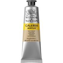 Tinta Acrílica Galeria Winsor Newton 60ml 060 Buff Titanium