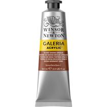 Tinta Acrílica Galeria Winsor Newton 60ml 077 Burnt Sienna Opaque - Winsor & Newton