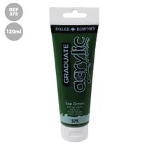 Tinta Acrilica Graduate 120ml Sap Green 375 Daler Rowney