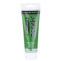 Tinta Acrílica Graduate 120ml Verde Vissie 375 Daler Rowney