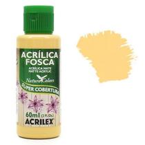 Tinta Acrílica Nature Colors Acrilex 60ml - 2