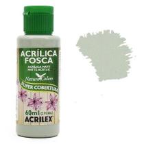 Tinta Acrílica Nature Colors Acrilex 60ml - 2