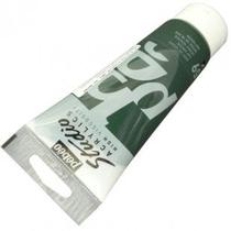 Tinta Acrílica Pébéo Studio 100ml 059 Verde Vessie