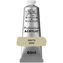 Tinta Acrílica Professional Winsor 60ml S1 217 Davys Gray