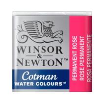 Tinta Aquarela Pastilhas Winsor & Newton Cotman