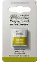 Tinta Aquarela Profissional Winsor Pastilha 447 Olive Green