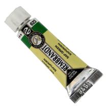 Tinta Aquarela Rembrandt 10 ml 623 Sap Green S2