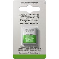 Tinta Aquarela Winsor Newton Pastilha S1 Permanent Sap Green Tinta Aquarela Winsor Newton Pastilha S1 Permanent Sap Green