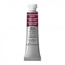 Tinta Aquarela Winsor & Newton Profissional Tubo 5ml S2 125 Caput Mortuum Violet
