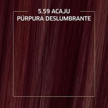 Tinta de Cabelo Biocolor Mini Kit Acaju Púrpura 5.59