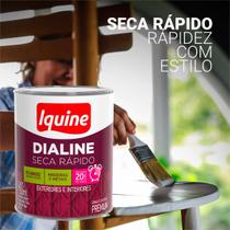 Tinta Esmalte Platina Acetinado 3L Madeiras e Metais sem cheiro Seca Rapido IQUINE Tinta Esmalte Platina Acetinado 3L Madeiras e Metais sem cheiro Seca Rapido IQUINE