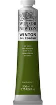 Tinta Óleo Pintura Artística 599 Sap Green Winton 200ml