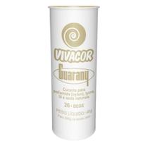 Tinta p/ Tecido Corante Roupas Vivacor Guarany 40g Bege