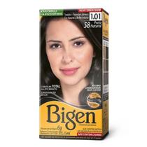 Tintura Bigen Preto Natural 58