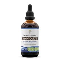 Tintura Cryptolepis Sanguinolenta 120ml - Segredos da Tribo Tintura Cryptolepis Sanguinolenta 120ml - Segredos da Tribo